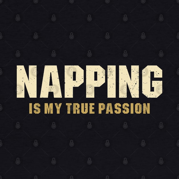 Napping is My True Passion by Ayana's arts